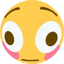 omegaflush omegaflush