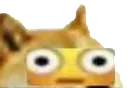 oo oo