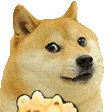 ok_vai