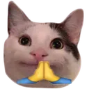 UDUcatpray Discord Emoji