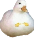 Yabai