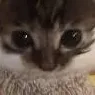 hug2 hug2