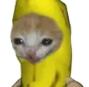 Bananacat bananacat Discord Emoji