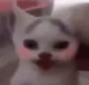 poggywoggtbutcuter