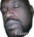 shaqsleep