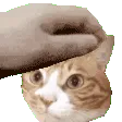 asooniepat