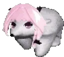 Astolfo_bear