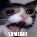 yamero yamero