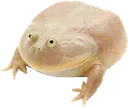 wednesday