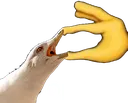 open
