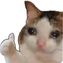 sad_thumbsup sad_thumbsup