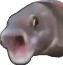 fishpog