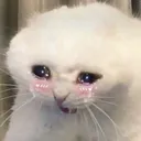 sadcat Discord Emoji