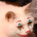 Clowncat clowncat Discord Emoji
