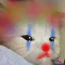 ne_aCatClown