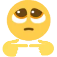 pleading