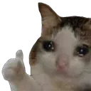 SadcatThumbsUp
