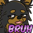 puplovBruh