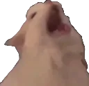 CatScream