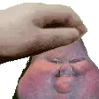 albiFatPet