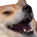 dogokek