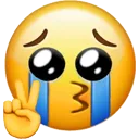 peacecrying Discord Emoji