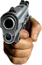 Gun
