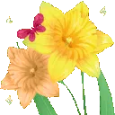 yh_bouquet5_donotsteal