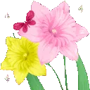 yh_bouquet6_donotsteal