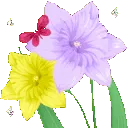 yh_bouquet7_donotsteal