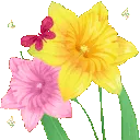 yh_bouquet8_donotsteal