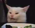 ConfusedCat Discord emoji