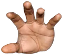 hand2