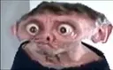 nicebutwtf
