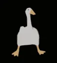 duckwalk