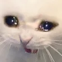 sadcried