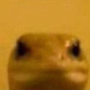 hmmm Discord emoji