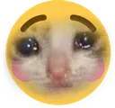 sadflushed sadflushed