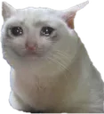 sadboi sadboi