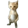 michael