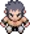 johto_e4_bruno