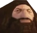 PS1Hagrid