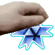 PETTHEPURITY