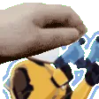PETTHECOMMANDO