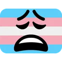 weary_transgender_flag