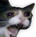 crycat