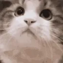 YES