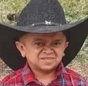gringo