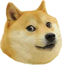 dogo