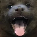 aa aa